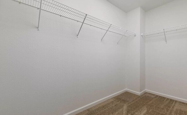 Building Photo - Large Colonial for Lease in Highly Rated Mattawan Schools