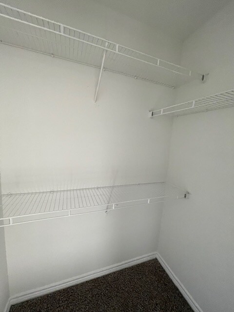 Building Photo - 2527 Pascal Ct