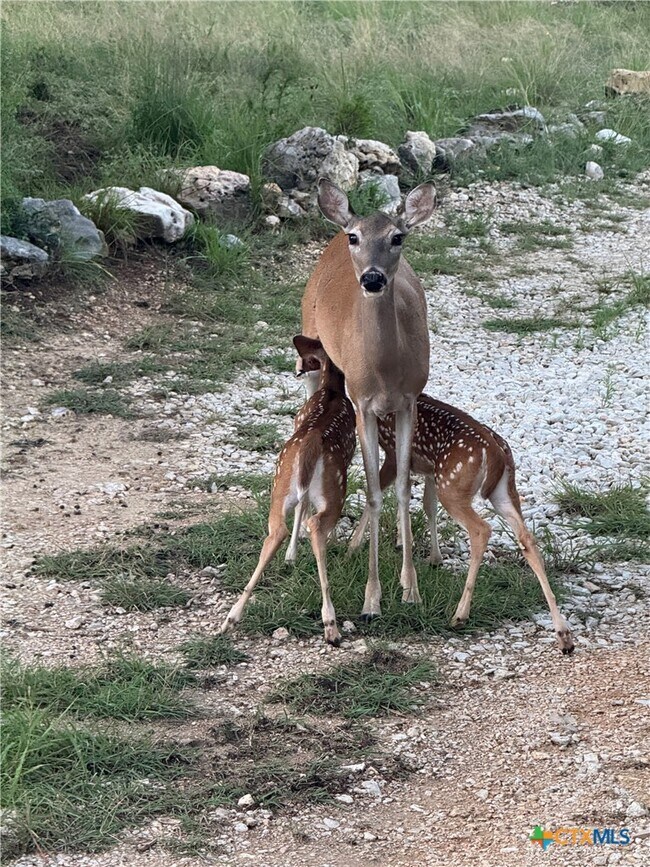 Building Photo - 1200 Willow Dr