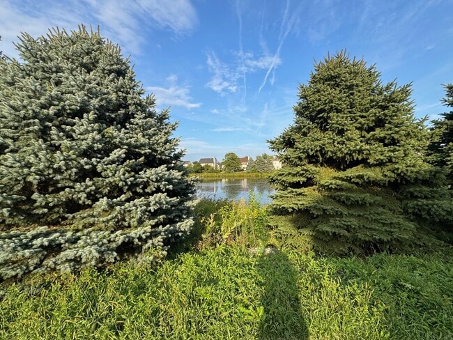 Building Photo - 2068 Canyon Creek Ct