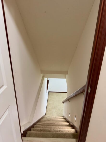 Stairs to basement - 10006 Pincherry Ln