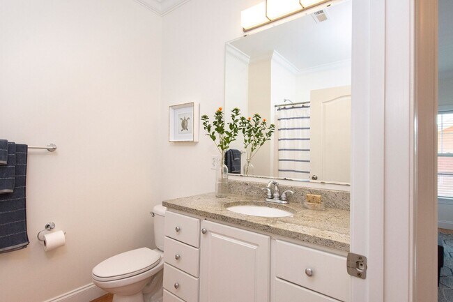 Building Photo - Luxurious Furnished Downtown Condo - 6-18 Month Lease Available!