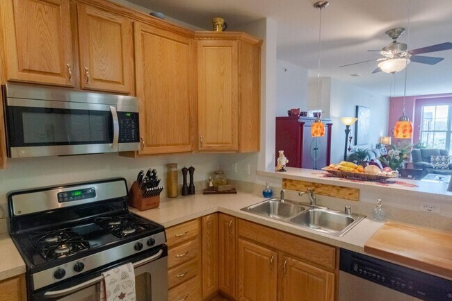 Building Photo - 2 Bedroom Lake Michigan Condominium