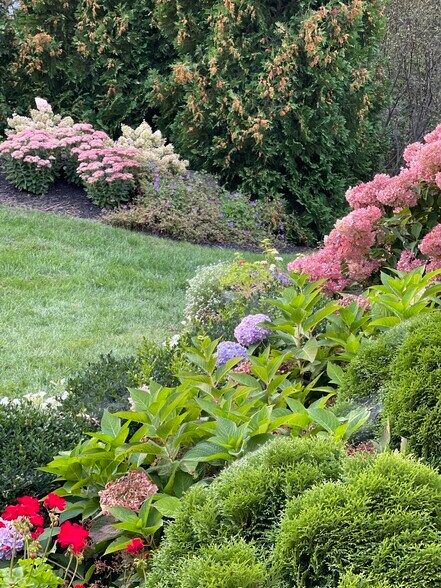 Front gardens - 1A Pleasant Ridge Rd