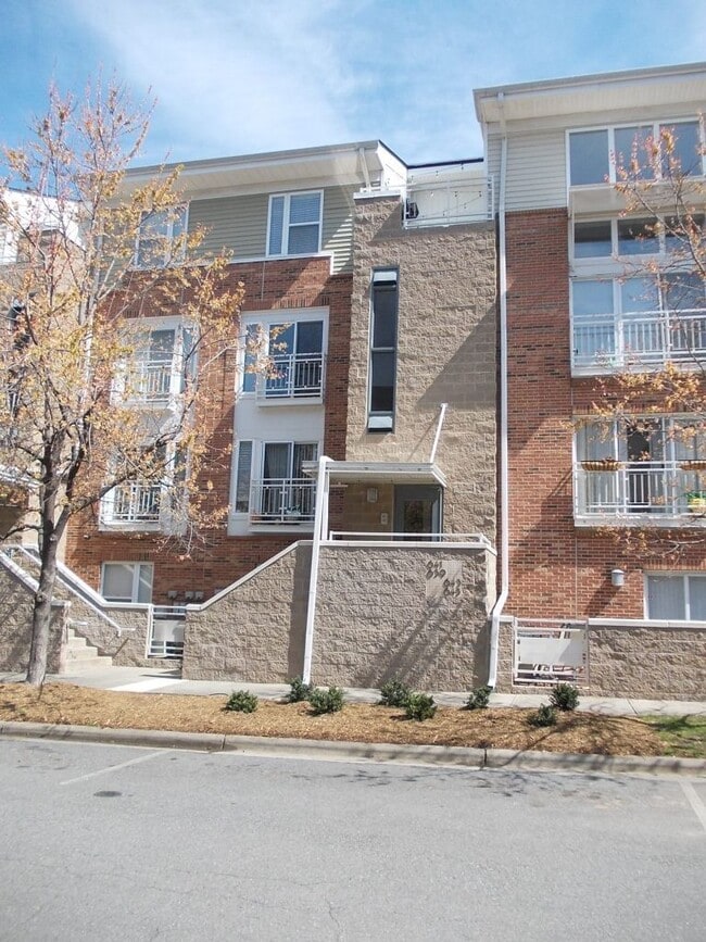 Primary Photo - Awesome 2 Bed Condo in Desired NODA - The ...