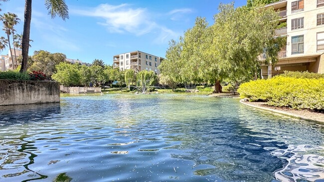 Building Photo - Plenty of Light in an Urban Oasis