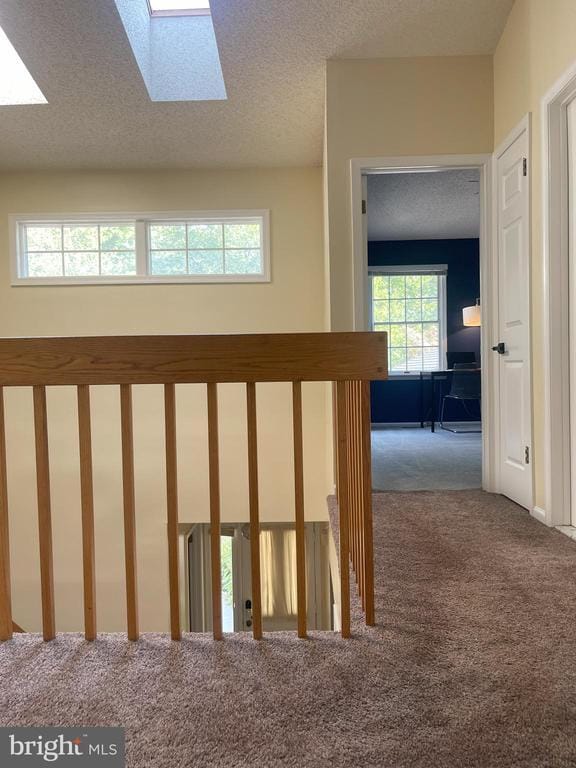 Building Photo - 24 Ginger Ct