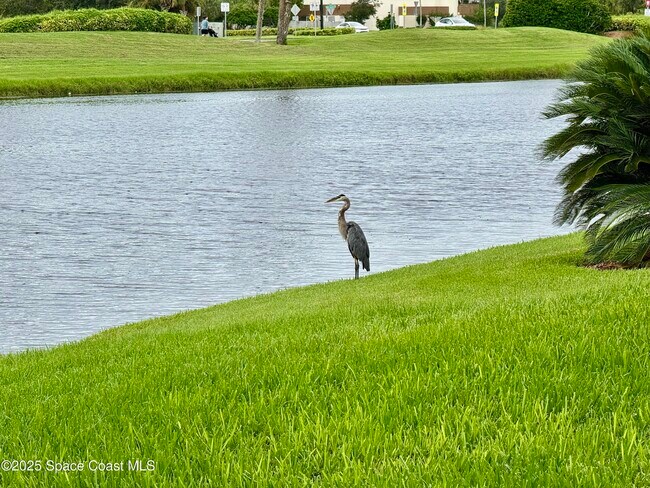 Building Photo - 210 Wickham Lakes Dr