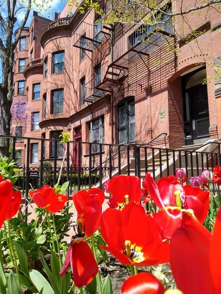 Building Photo - 400 Marlborough St