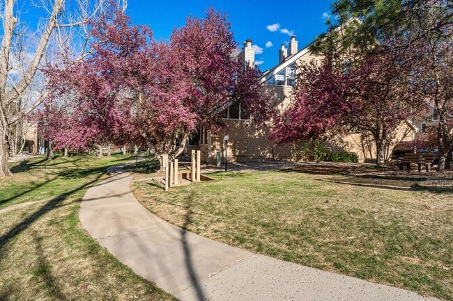 Building Photo - Updated 1 BDR with loft in Gunbarrel