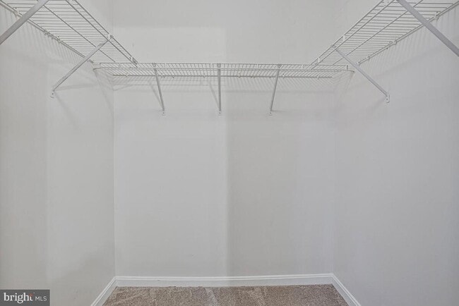 Building Photo - 7929 Canter Ct