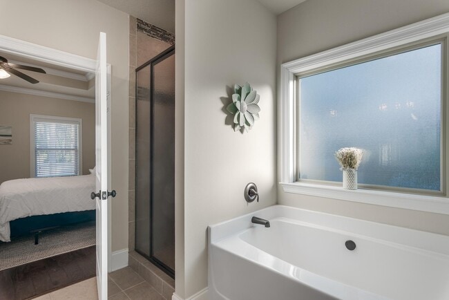 Building Photo - 187 Tropical Breeze Dr