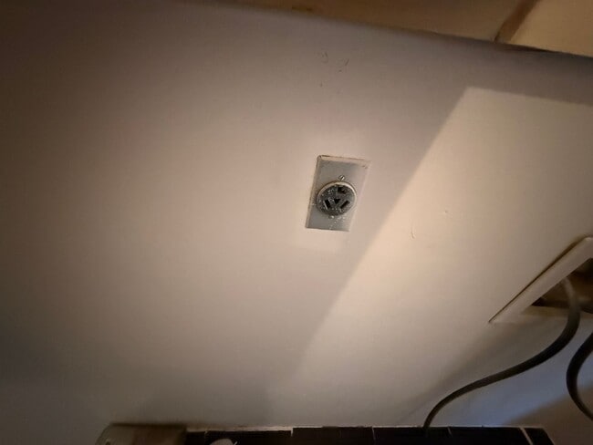 Building Photo - Palm Heights