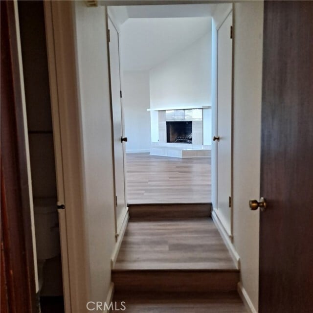 Building Photo - 1113 Steinhart Ave