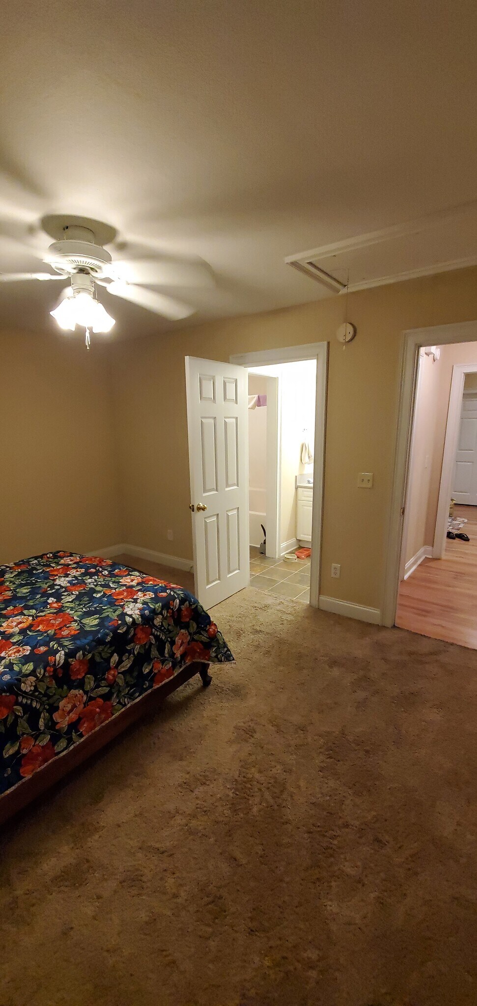 Building Photo - 807 W Longleaf Dr