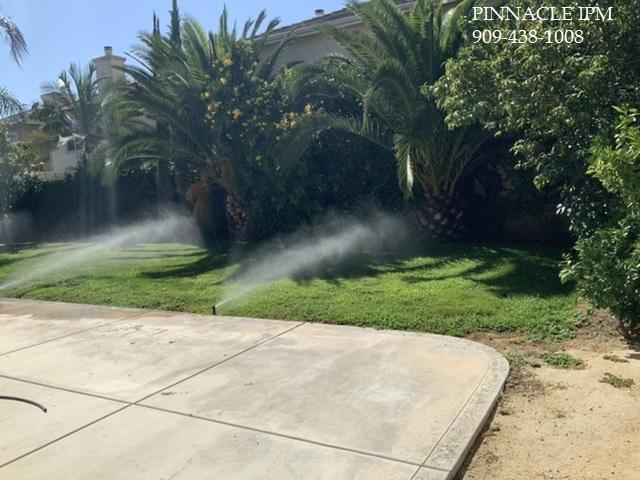 Building Photo - 11323 Lakeport Dr