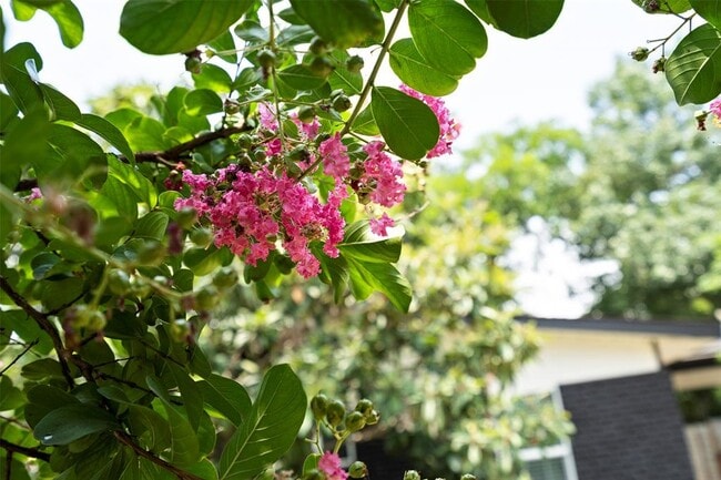 Building Photo - 3002 Brinwood Ave