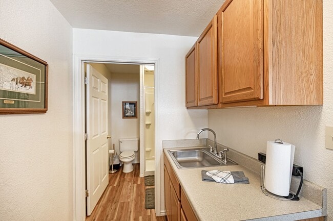 Building Photo - 62 Curlew Pl