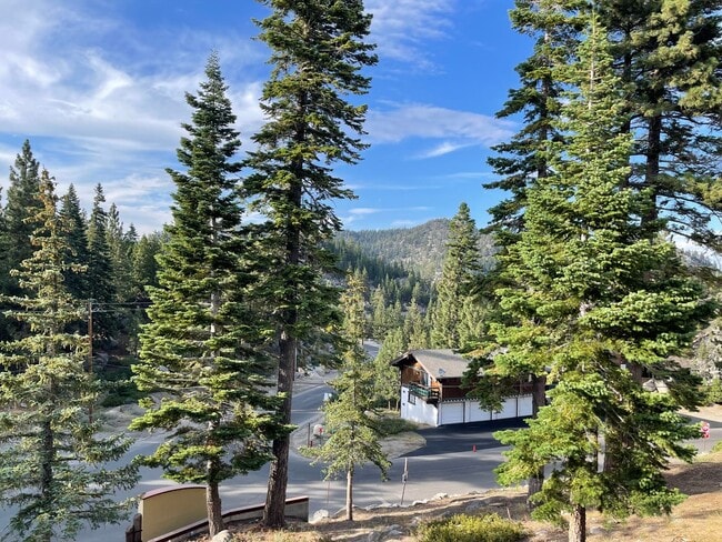 Building Photo - Nice condo near Heavenly available now!