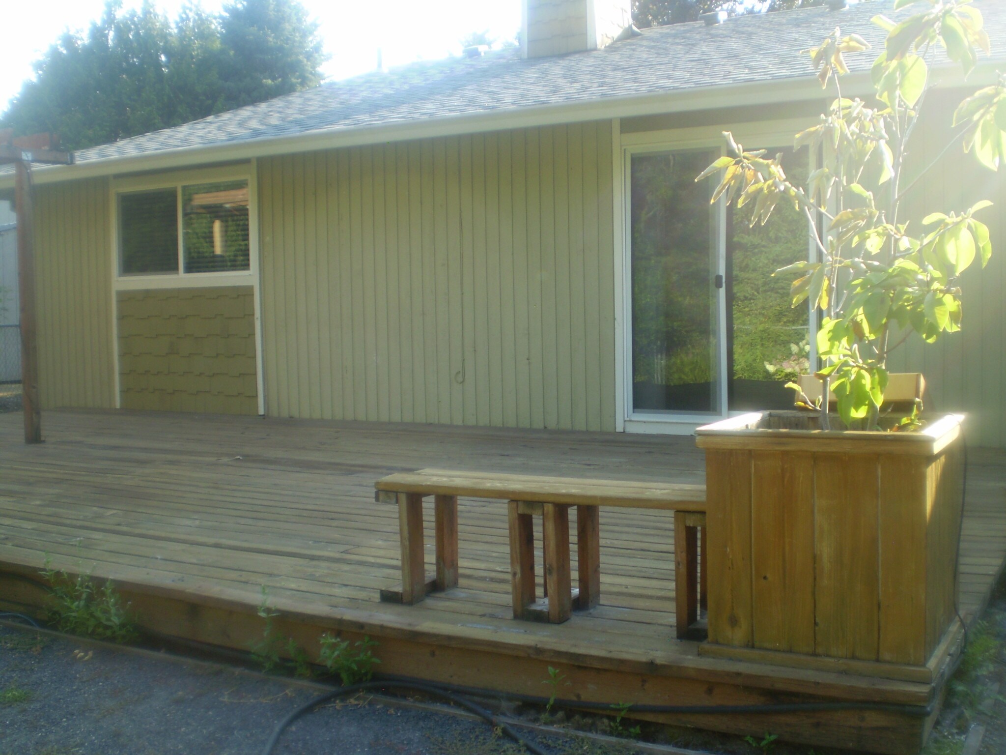 Back house view - 11350 SW Ironwood Loop