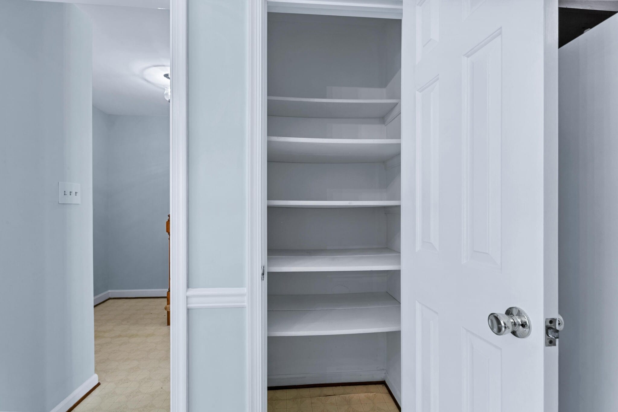 Pantry inside kitchen - 117 Wellesley Dr