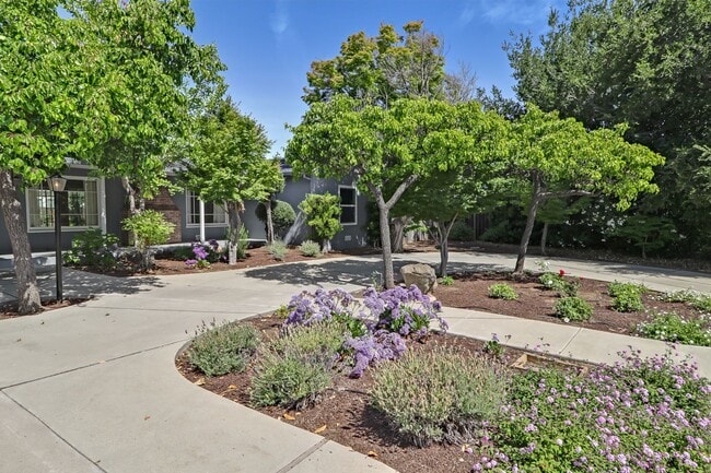 Building Photo - Los Altos 4-Bedroom with Fireplace, EV Hoo...