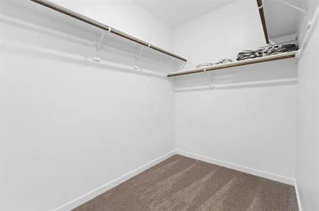 Building Photo - 2820 Fox Trail Ln
