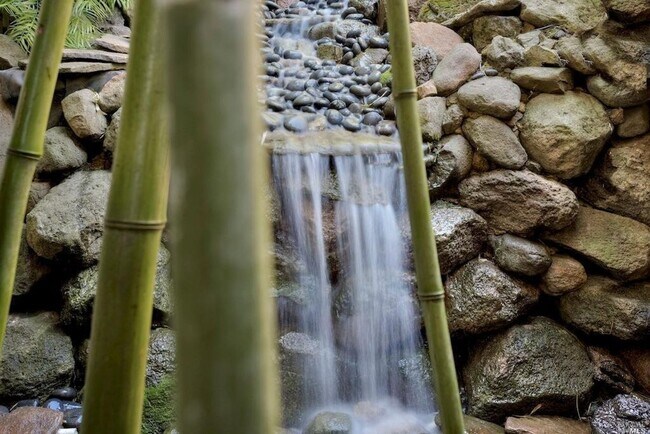 Building Photo - Beautiful Home w/ Stunning Views from Every Room!