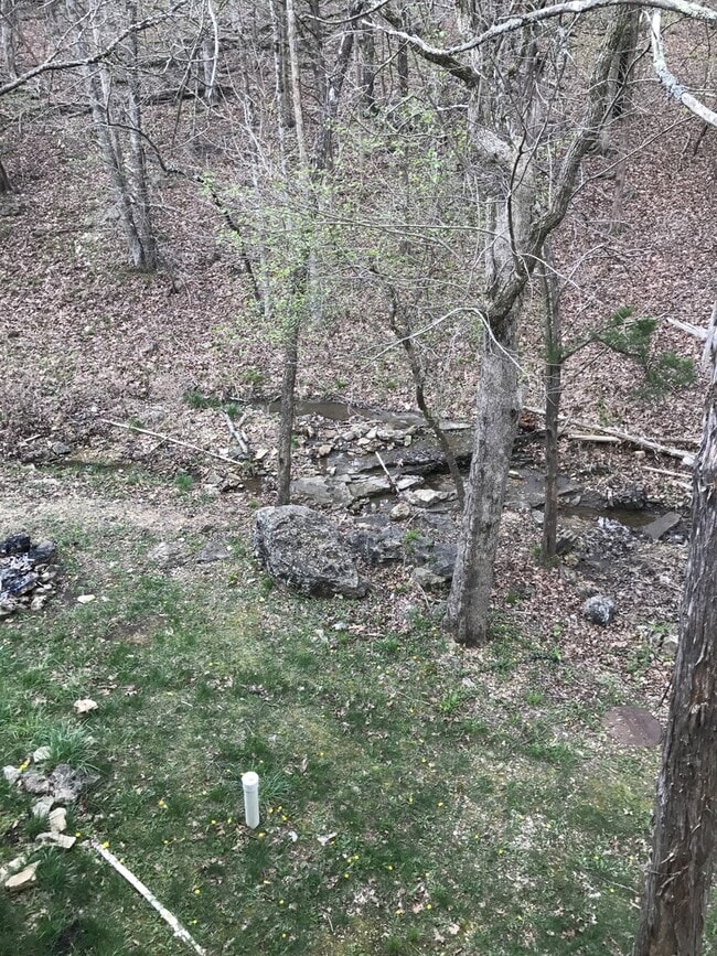 Building Photo - Single Family Home in Branson