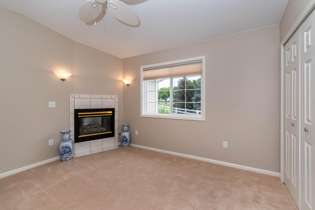 Master Bedroom w Fireplace double closets - 197 Johnson Dr