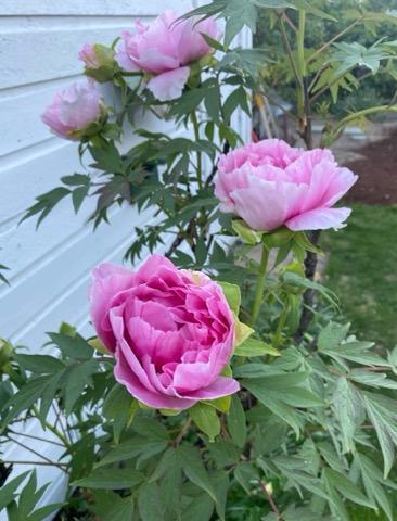 Building Photo - 110 6th St