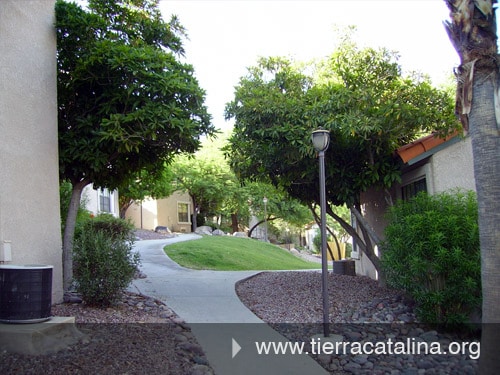 Building Photo - 6460 N Tierra de las Catalinas