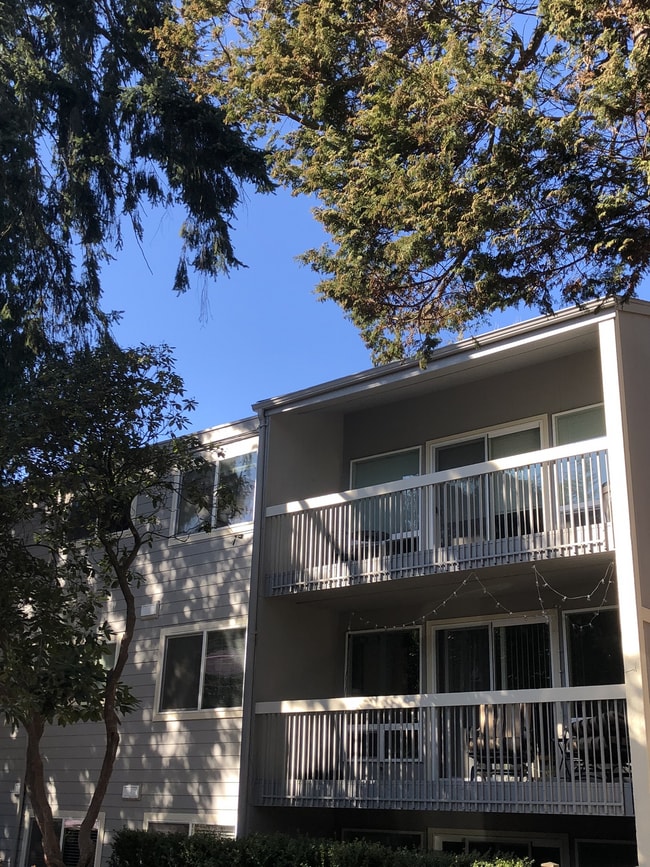 IMG_0564.JPEG - Twin Cedars Apartments