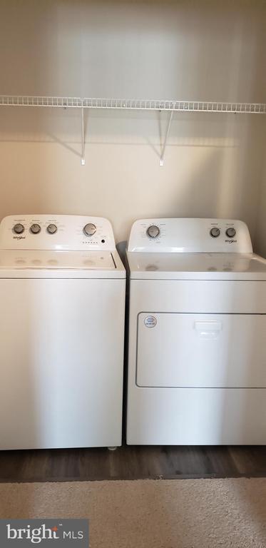 Building Photo - 186 Caterpillar Dr