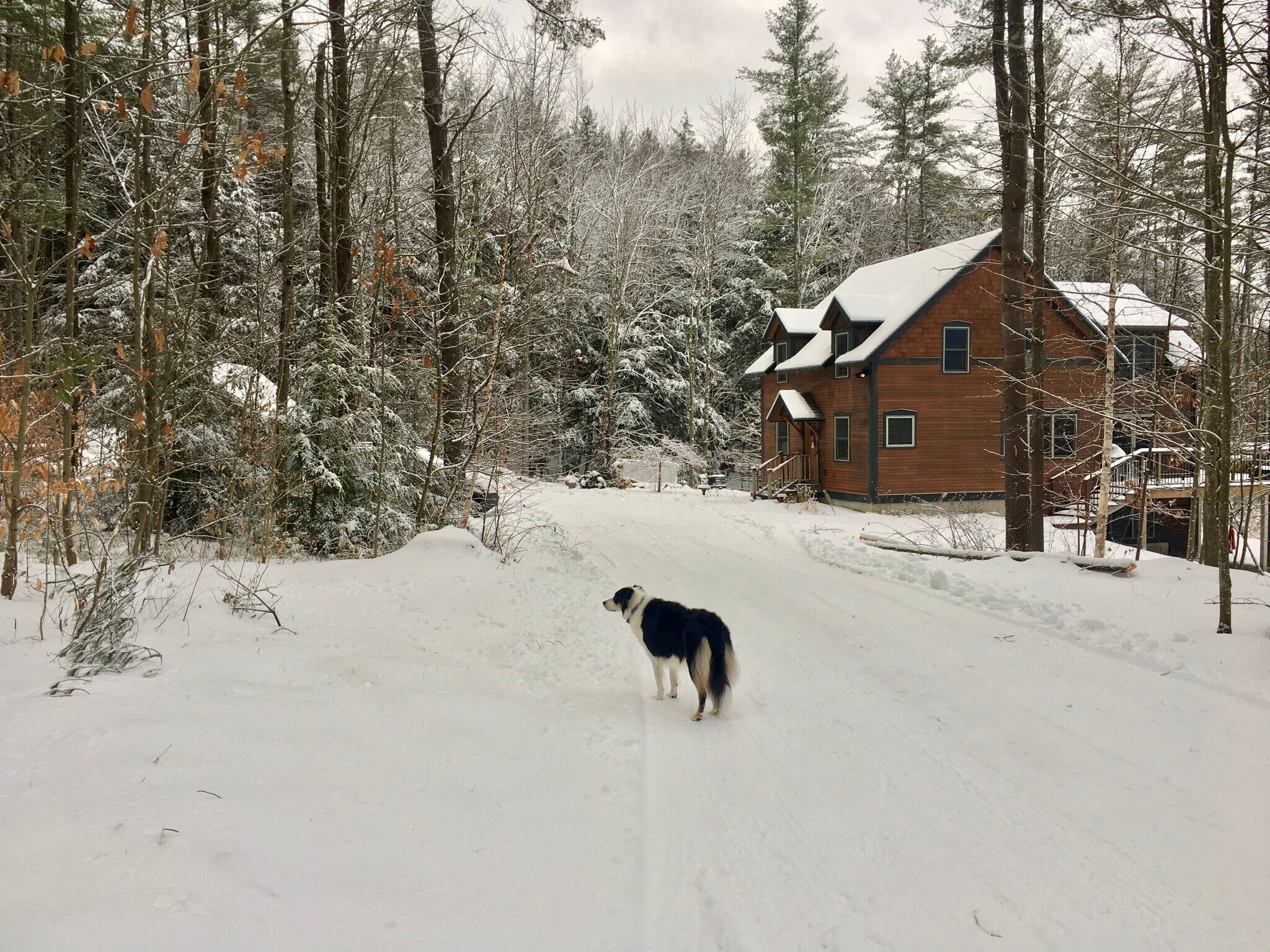 Building Photo - 475 Black Bear Holw