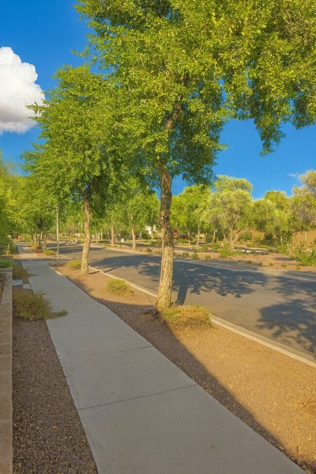 Building Photo - Charming 3BR House in Buckeye