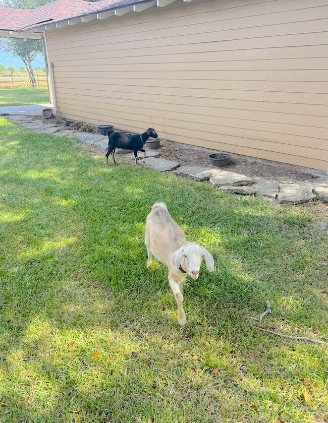 Building Photo - 12021 FM 1994 Rd