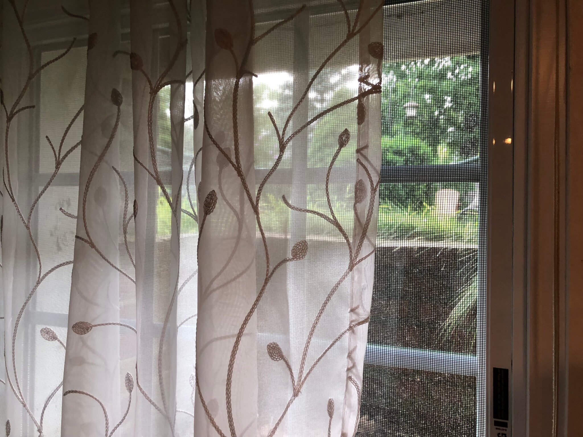 window onto backyard - 40 Sumner St