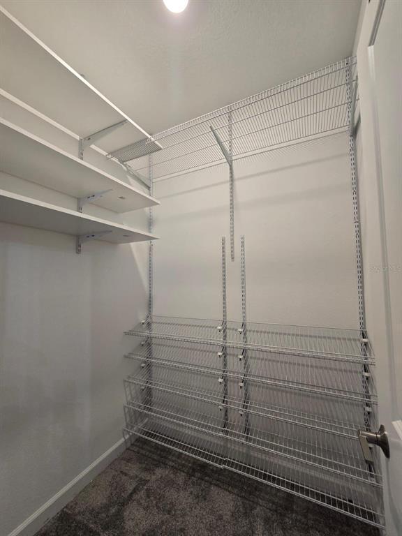 Building Photo - 3071 Camden Wy