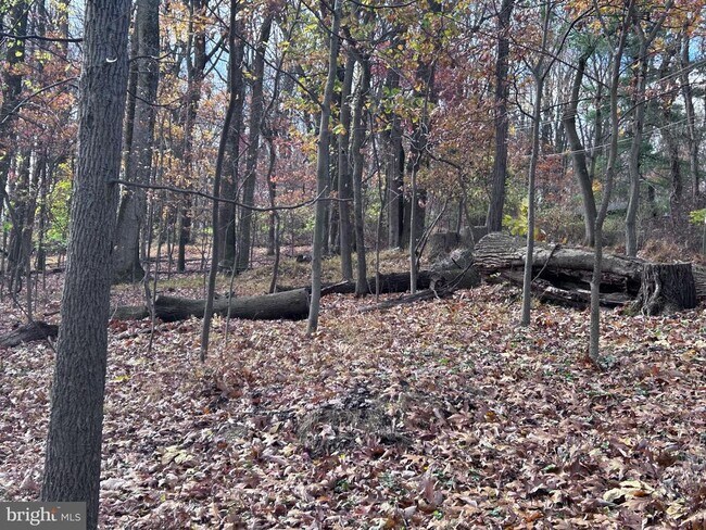 Building Photo - 132 Pinecrest Ln