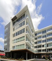 Building Photo - The Oyster