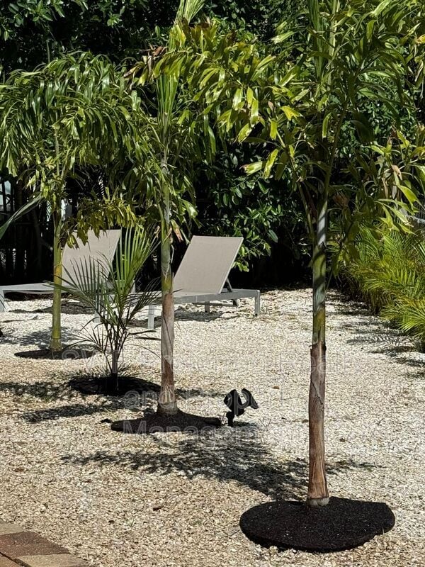 Building Photo - 222 Fairweather Ln