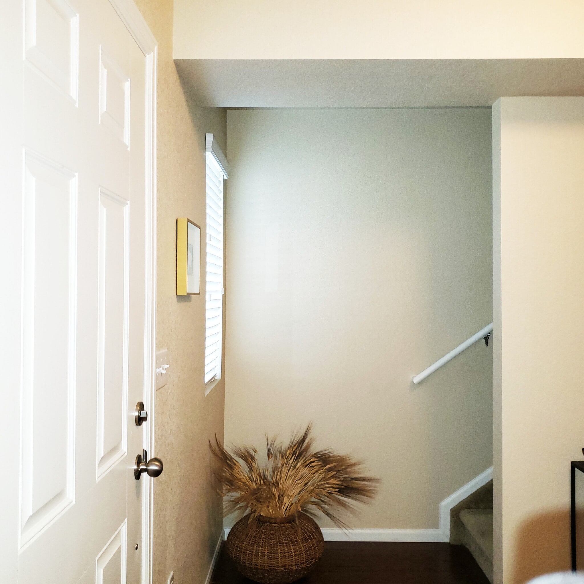 Lower Level Entrance - 10314 Bellwether Ln