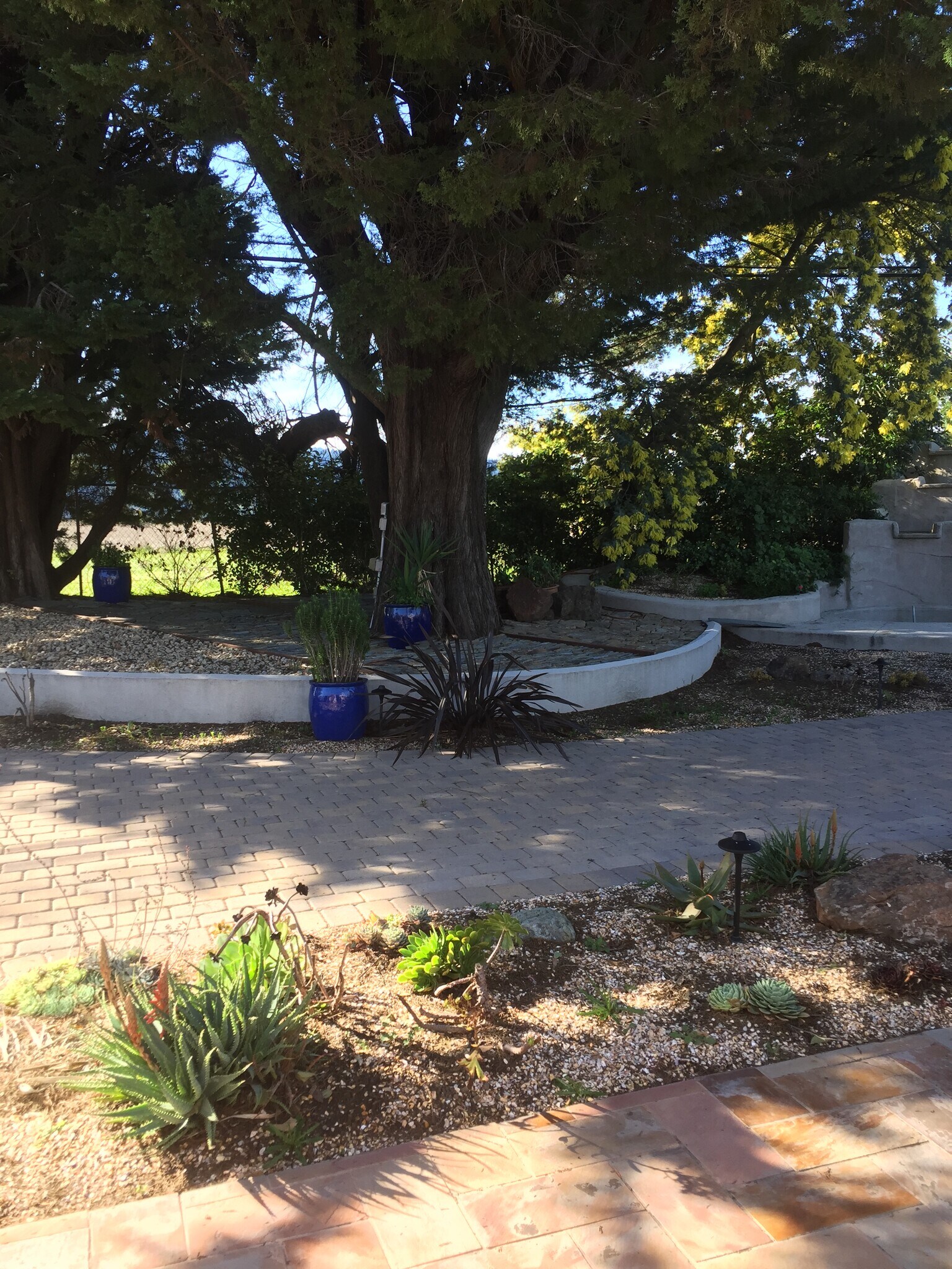 Building Photo - 1485 Lakeview Dr