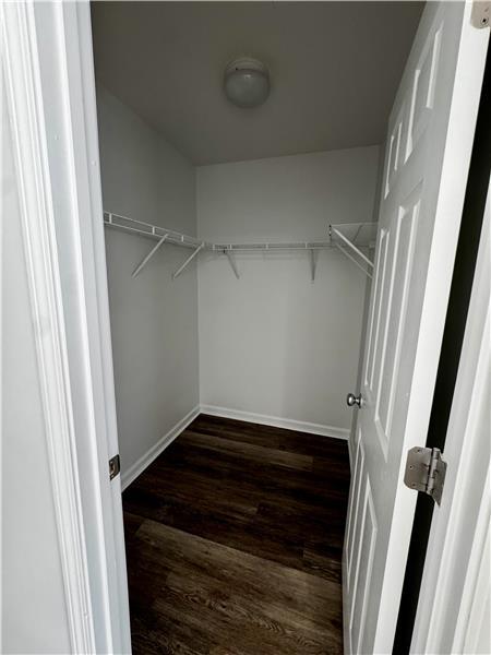 Building Photo - 238 Sonata Cir