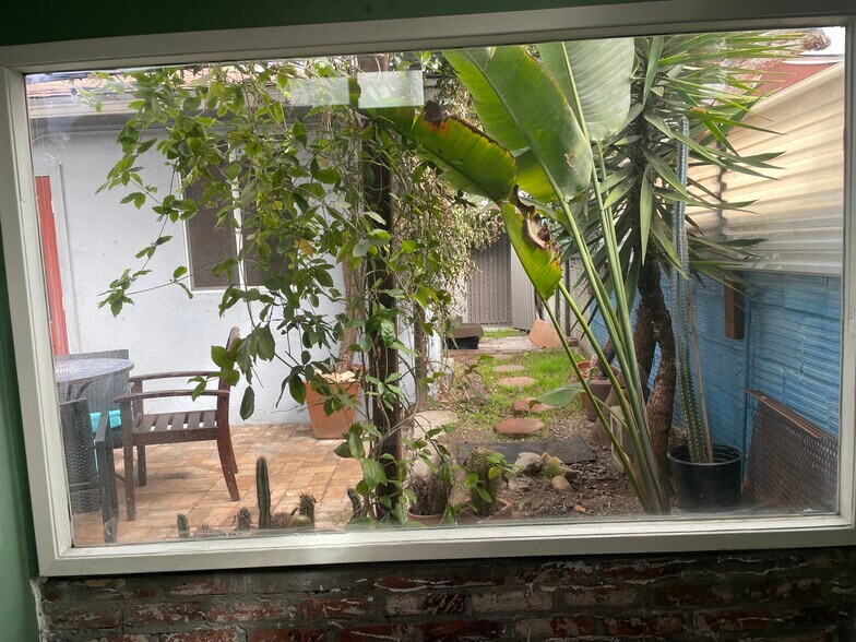 Outside garden area - 3554 Colonial Ave