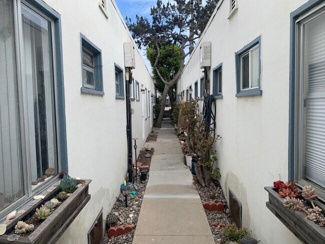 Alley view - 27 Eastwind St