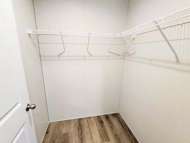 Building Photo - 230 Whittlesey Ave