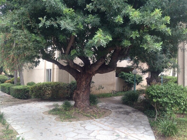 Grounds - 18307 Burbank Blvd