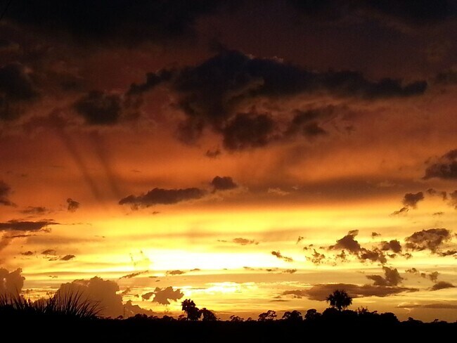 Building Photo - Vero Beach Rentals. Vero Beach Homes For Rent. Vero Beach Rent, LLC and Property Management Company